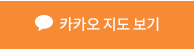 카카오지도